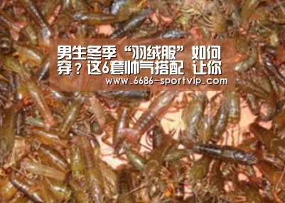 男生冬季“羽绒服”如何穿?这6套帅气搭配 让你轻松打造潮男范_6686足球竞猜(图1) 6686电竞APP