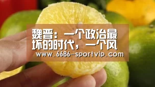 魏晋:一个政治最坏的时代,一个风度最佳的时代:6686电竞APP(图4) 6686真人娱乐