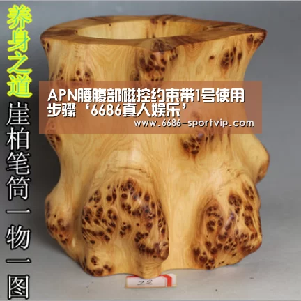 APN腰腹部磁控约束带1号使用步骤‘6686真人娱乐’(图3) 6686足球竞猜